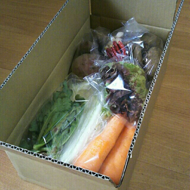 野菜 詰め合わせ  セット サイズ80 約5㎏ 食品/飲料/酒の食品(野菜)の商品写真