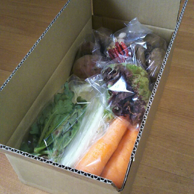 野菜 詰め合わせ セット サイズ80 約５㎏ 食品/飲料/酒の食品(野菜)の商品写真