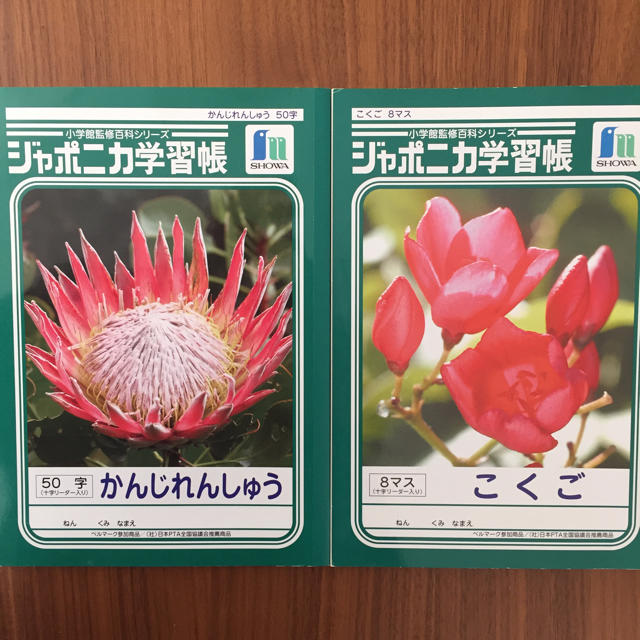 小学館(ショウガクカン)のかんじれんしゅう50字・こくご8マス ジャポニカ学習帳 新一年生 入学準備 インテリア/住まい/日用品の文房具(ノート/メモ帳/ふせん)の商品写真