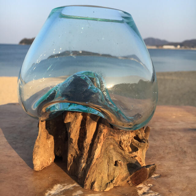 流木ガラスMN1&XSm オブジェ 花瓶 多肉植物 金魚鉢 テラリウム エンタメ/ホビーの美術品/アンティーク(彫刻/オブジェ)の商品写真