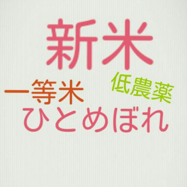28年産ひとめぼれ25kg!!　その他