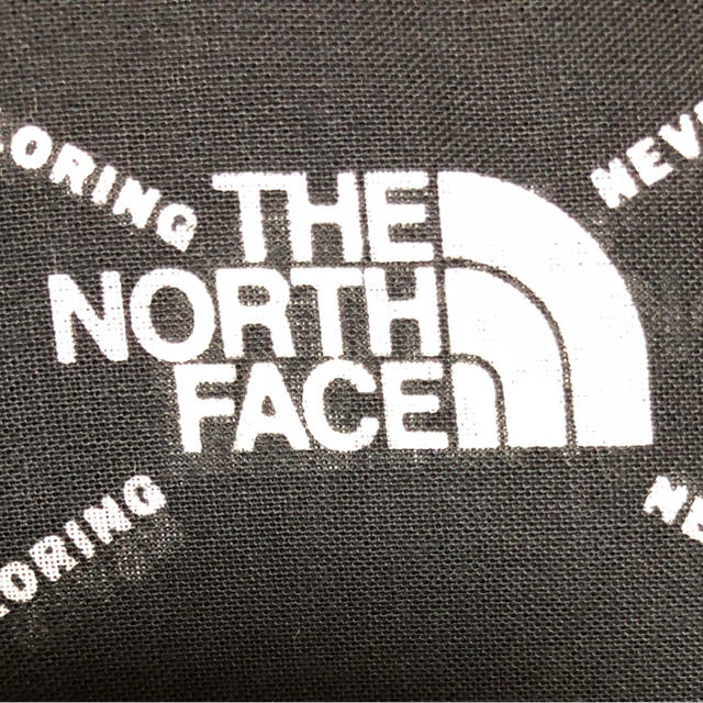 THE NORTH FACE(ザノースフェイス)のノースフェイス THE NORTH FACE メンズのジャケット/アウター(マウンテンパーカー)の商品写真