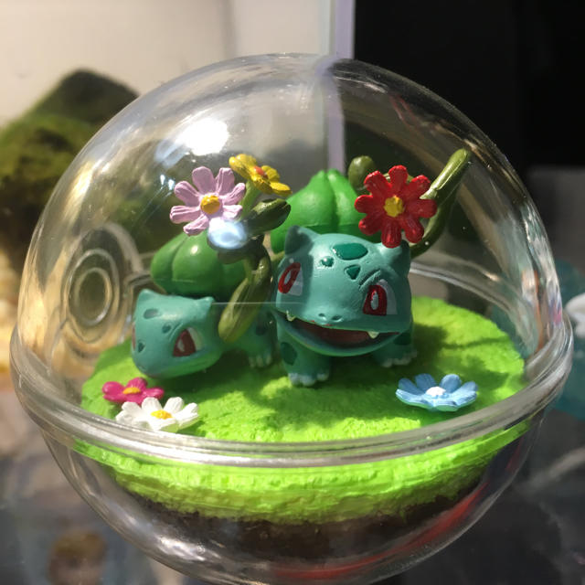 ポケモン フシギダネの通販 By いぬまさ S Shop ポケモンならラクマ