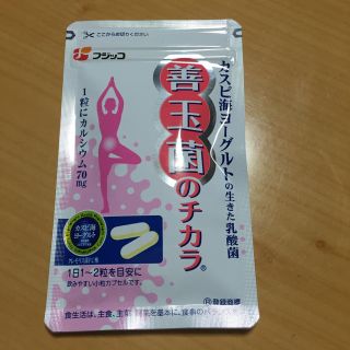 〈新品〉善玉菌のチカラ(その他)