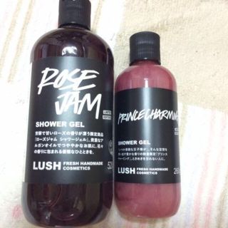 ラッシュ(LUSH)のmarumo7201様専用(その他)