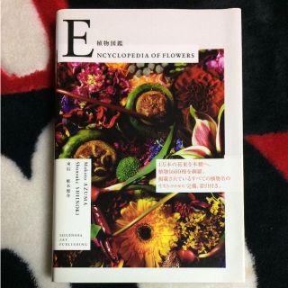 植物図鑑 Encyclopedia of flowers(その他)