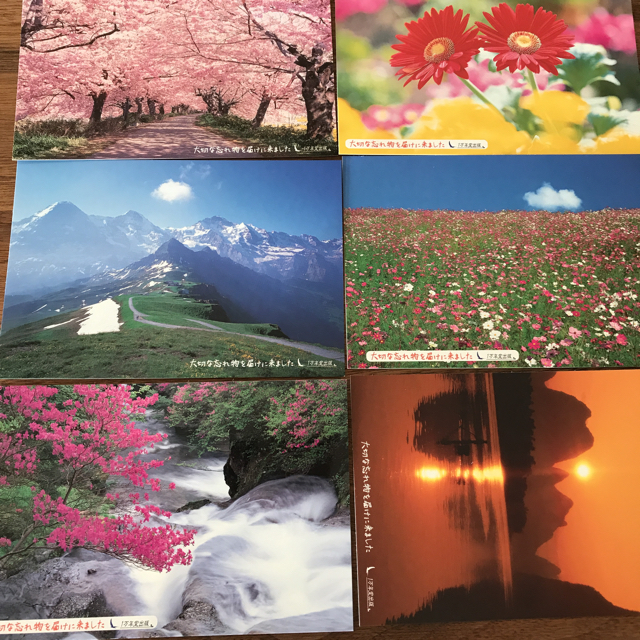 絵葉書 6枚 エンタメ/ホビーのコレクション(使用済み切手/官製はがき)の商品写真