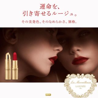 ラデュレ(LADUREE)のラデュレリップ♡ぶどう色(口紅)