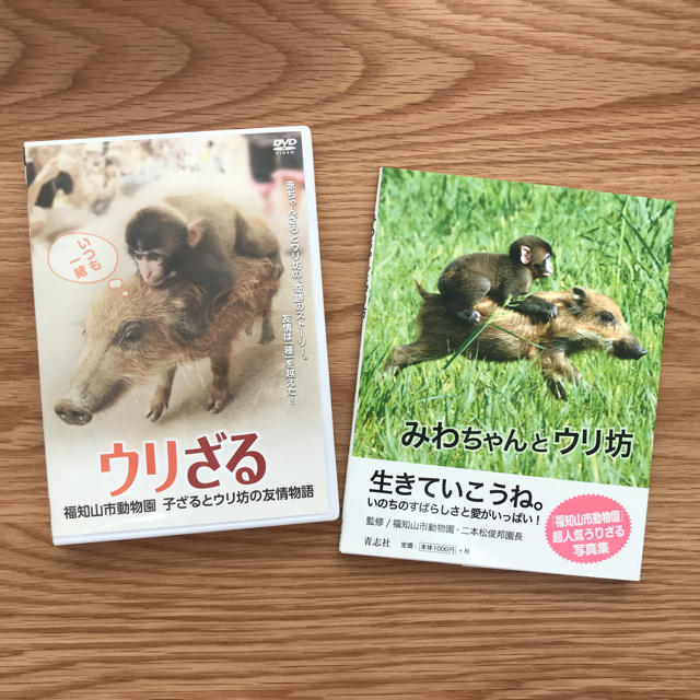 うたまるる様専用  ウリざる（DVD）みわちゃんとウリ坊 （本）セット エンタメ/ホビーの本(住まい/暮らし/子育て)の商品写真