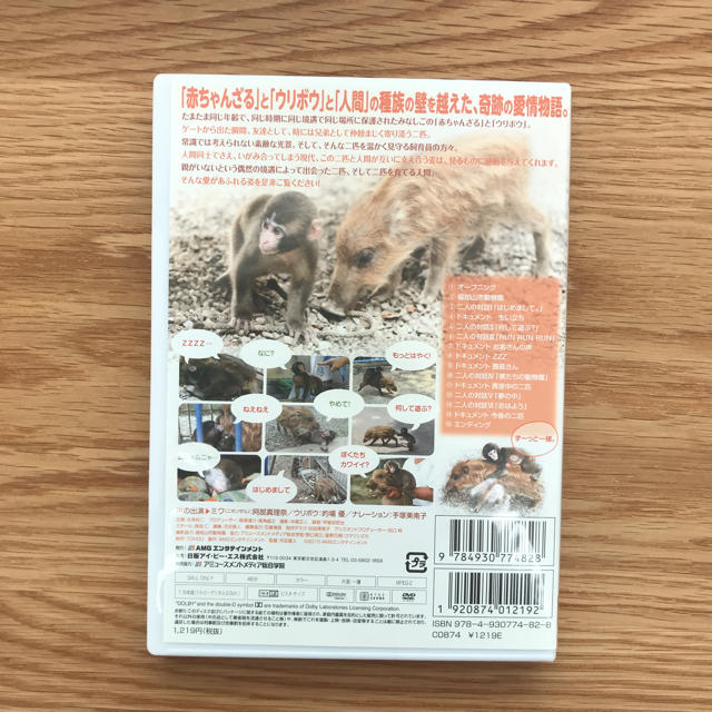 うたまるる様専用  ウリざる（DVD）みわちゃんとウリ坊 （本）セット エンタメ/ホビーの本(住まい/暮らし/子育て)の商品写真