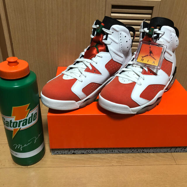 NIKE(ナイキ)の限界値下げ AIR JORDAN6 ゲーターレード スクイズボトル付き メンズの靴/シューズ(スニーカー)の商品写真