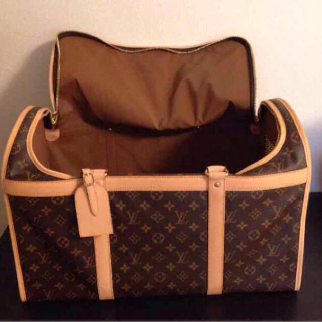 LOUIS VUITTON(ルイヴィトン)のルイ・ヴィトン♥︎サックシャン50 その他のその他(その他)の商品写真