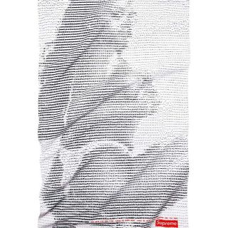 シュプリーム(Supreme)のsupreme Digi Beach Towel ビーチタオル(その他)