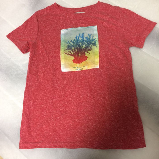 ZARA(ザラ)のZARA 子供 128サイズ キッズ/ベビー/マタニティのキッズ服男の子用(90cm~)(Tシャツ/カットソー)の商品写真