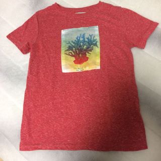 ザラ(ZARA)のZARA 子供 128サイズ(Tシャツ/カットソー)