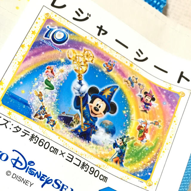 Disney(ディズニー)のレジャーシート スポーツ/アウトドアのアウトドア(その他)の商品写真