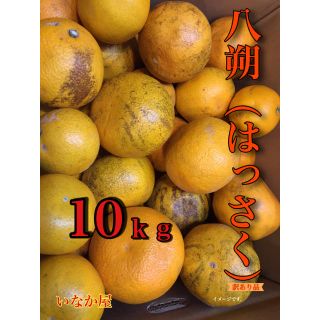 訳あり はっさく 10ｋｇ(フルーツ)