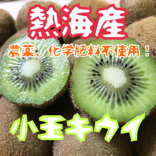 【熱海産♨無農薬】完熟小玉キウイinコンパクトボックス(フルーツ)