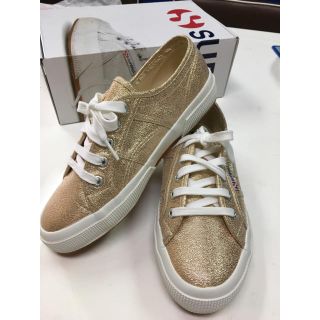 スペルガ(SUPERGA)の新品！スペルガ SUPERGA ゴールド 24cmゆったり(スニーカー)