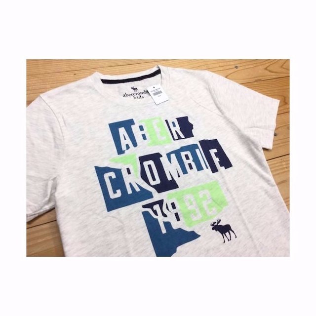 Abercrombie&Fitch(アバクロンビーアンドフィッチ)の新品【KID'S 15/16】★アバクロ★プリント半袖Tシャツ/グレー メンズのトップス(その他)の商品写真