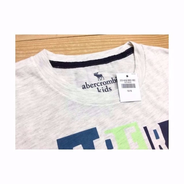 Abercrombie&Fitch(アバクロンビーアンドフィッチ)の新品【KID'S 15/16】★アバクロ★プリント半袖Tシャツ/グレー メンズのトップス(その他)の商品写真