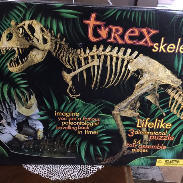 GEOWORLDのT-REX 骨格標本キット | centralpark.pe