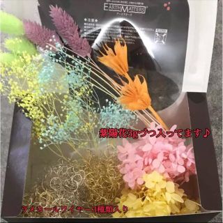 ハーバリウム花材セット 限定1つ ラメカールワイヤー 紫陽花3gずつ(プリザーブドフラワー)