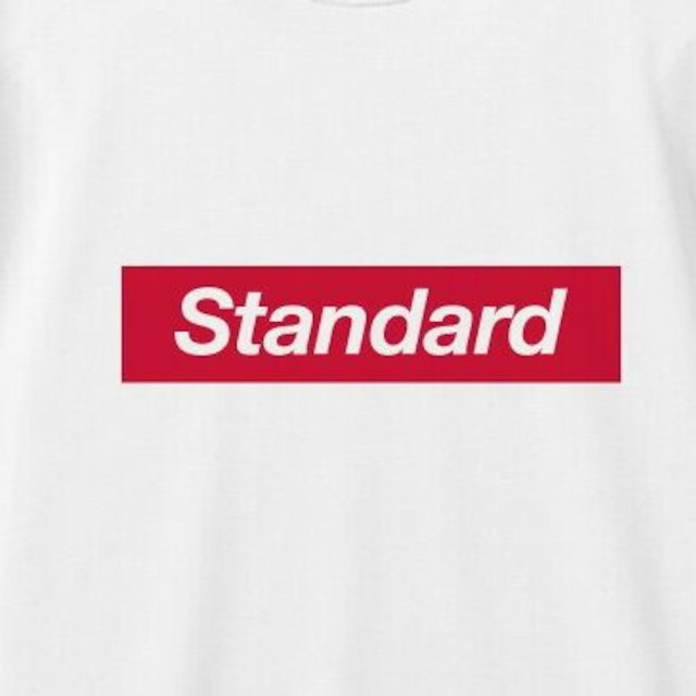 ☆新品‼DESART standardロングTシャツ 1