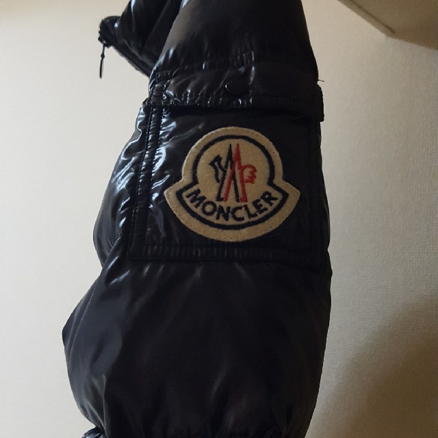 MONCLER(モンクレール)のモンクレール　バディア レディースのジャケット/アウター(ダウンジャケット)の商品写真