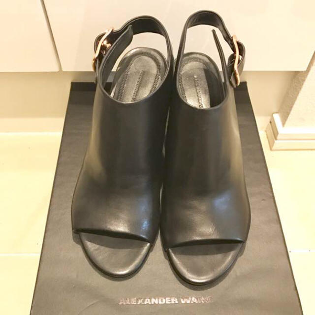 Alexander Wang(アレキサンダーワン)のアレキサンダーワン チャンキーヒールナディア サンダル パンプス MM6 マルニ レディースの靴/シューズ(サンダル)の商品写真