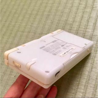 DS本体とカードリーダ、ラブベリセット