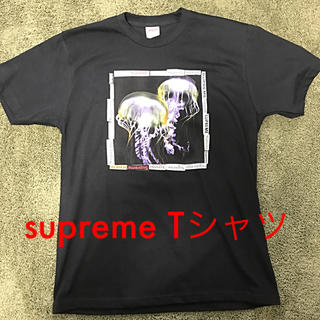 シュプリーム(Supreme)のsupreme クラゲ Tシャツ Mサイズ(Tシャツ/カットソー(半袖/袖なし))