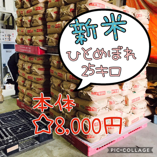 カエル様専用☆宮城県産ひとめぼれ25キロ 食品/飲料/酒の食品(米/穀物)の商品写真