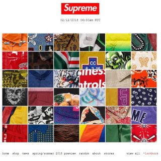 シュプリーム(Supreme)のモグ様専用(その他)