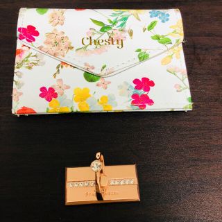 チェスティ(Chesty)の美人百花 付録 chesty 財布のみ(その他)