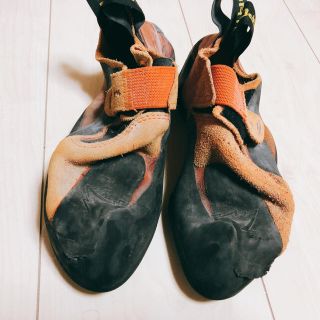 スポルティバ(LA SPORTIVA)のスポルティバ パイソン 36【がちゃ様専用】(登山用品)