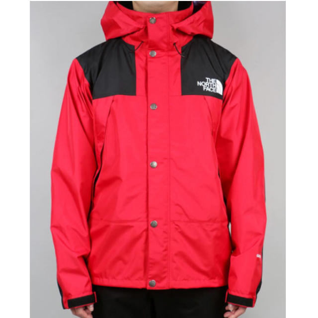 THE NORTH FACE(ザノースフェイス)のthe north face M np11501 メンズのジャケット/アウター(マウンテンパーカー)の商品写真