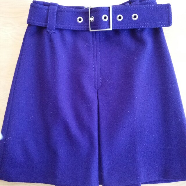 Pinky&Dianne(ピンキーアンドダイアン)のピンキー＆ダイアン  紫スカート レディースのスカート(ミニスカート)の商品写真