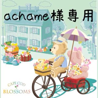 achame様専用(その他)