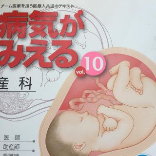 病気が見える10 産科(語学/参考書)