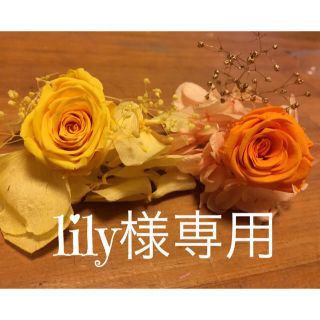 プリザーブドフラワー花材lily様専用(プリザーブドフラワー)