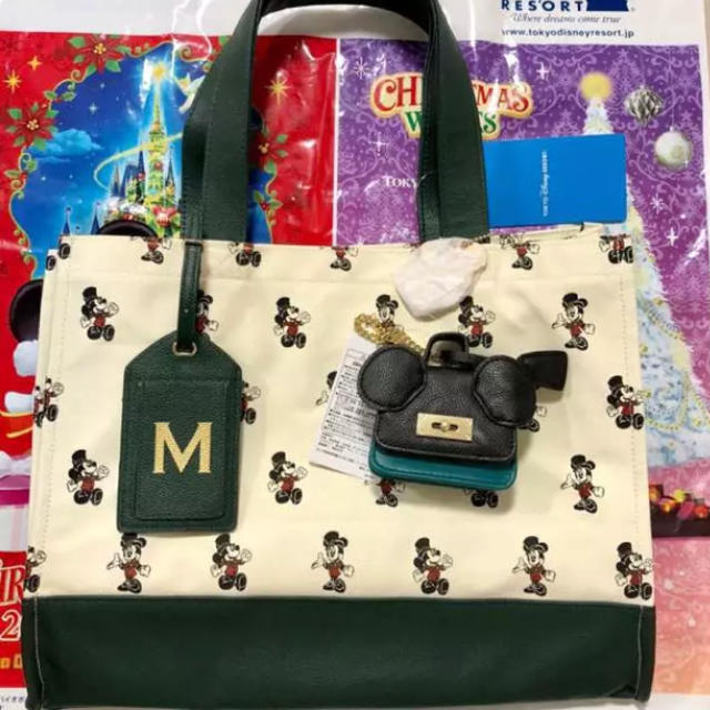 Disney(ディズニー)の新品☆ ミラコスタ ラゲッジバッグ ディズニーリゾート レディースのバッグ(トートバッグ)の商品写真