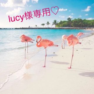 ヴィクトリアズシークレット(Victoria's Secret)のlucy様専用！新品 ヴィクトリアシークレット ルームウェア & スポブラ 2点(ルームウェア)