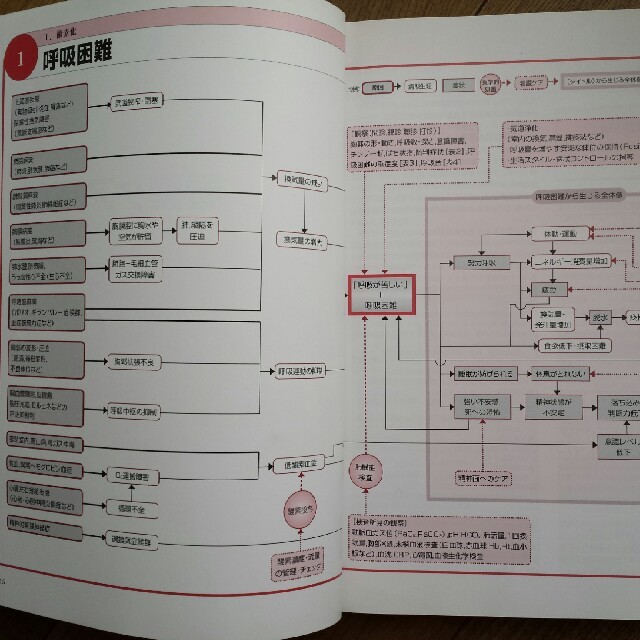 症状別看護ケア関連図の通販 By Sa S Shop ラクマ 症状別看護ケア関連図の通販 By Sa S Shop ラクマ