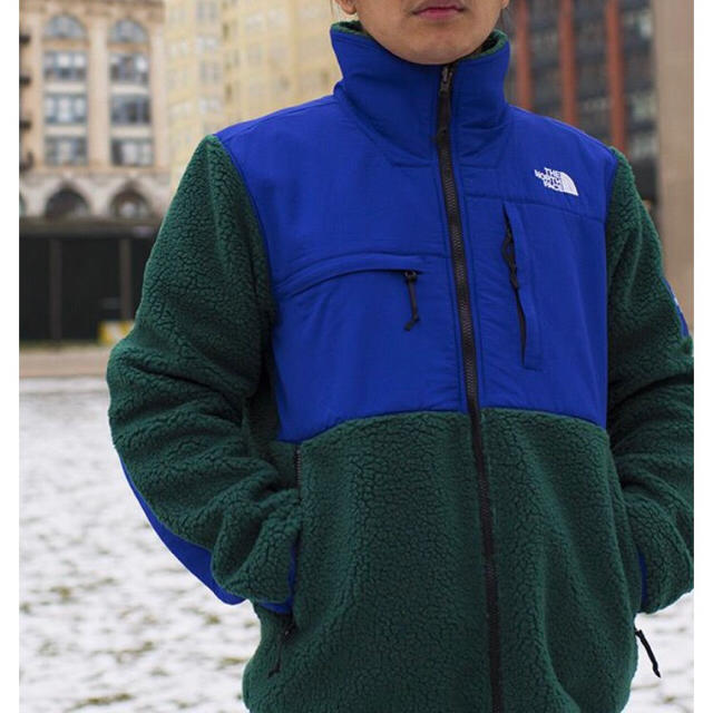 メンズL THE NORTH FACE Nordstrom別注