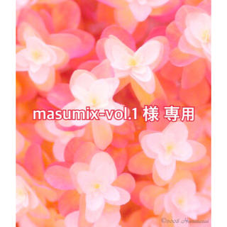 masumix-vol.1 様 専用ページ(バッグ/レッスンバッグ)