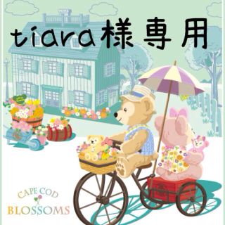 tiara様専用(その他)