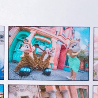 ディズニー(Disney)のmikko様専用☆実写ポストカード4枚(キャラクターグッズ)