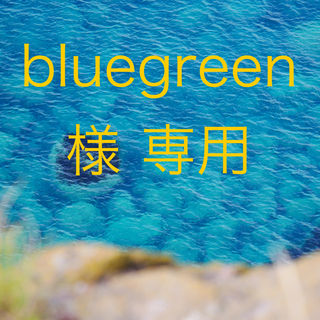 ミントブリーズ(MINT BREEZE)のbluegreen 様 専用 ワンピース(ひざ丈ワンピース)