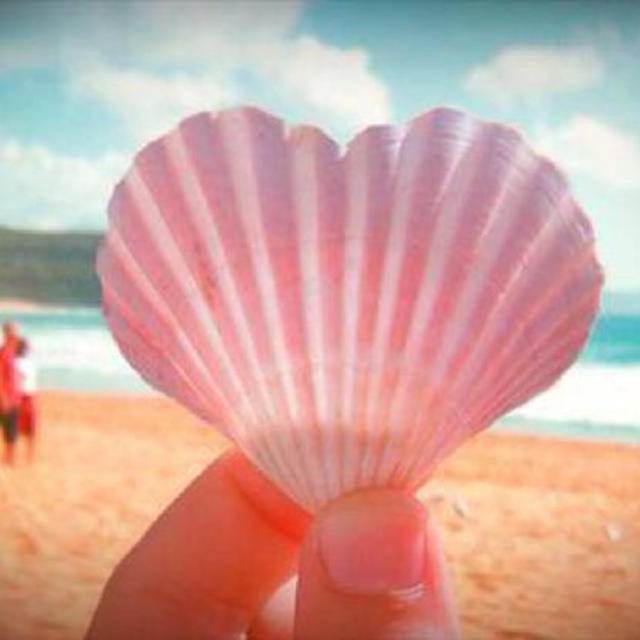 もなか様9月26日までお取り置き♥︎ エンタメ/ホビーのエンタメ その他(その他)の商品写真